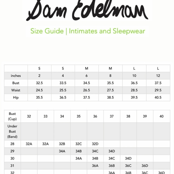 💗 Sam Edelman Lace Dawn Pink Bodysuit 💗 - Picture 13 of 13